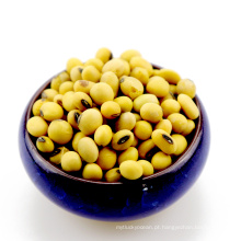 NON-GMO yellow Soybean soya bean for oil tofu animal feeds